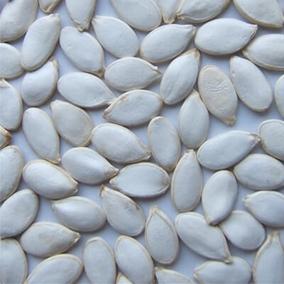 Оставить заявку на Тыквенные семечки