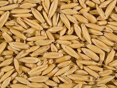 Оставить заявку на Yulaf