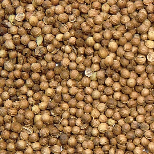 Оставить заявку на Кориандр