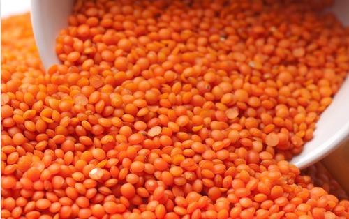 Оставить заявку на Red lentil