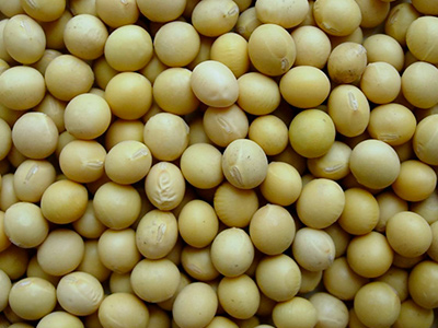 Оставить заявку на Soybeans