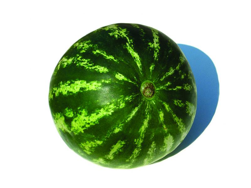 Оставить заявку на Арбуз