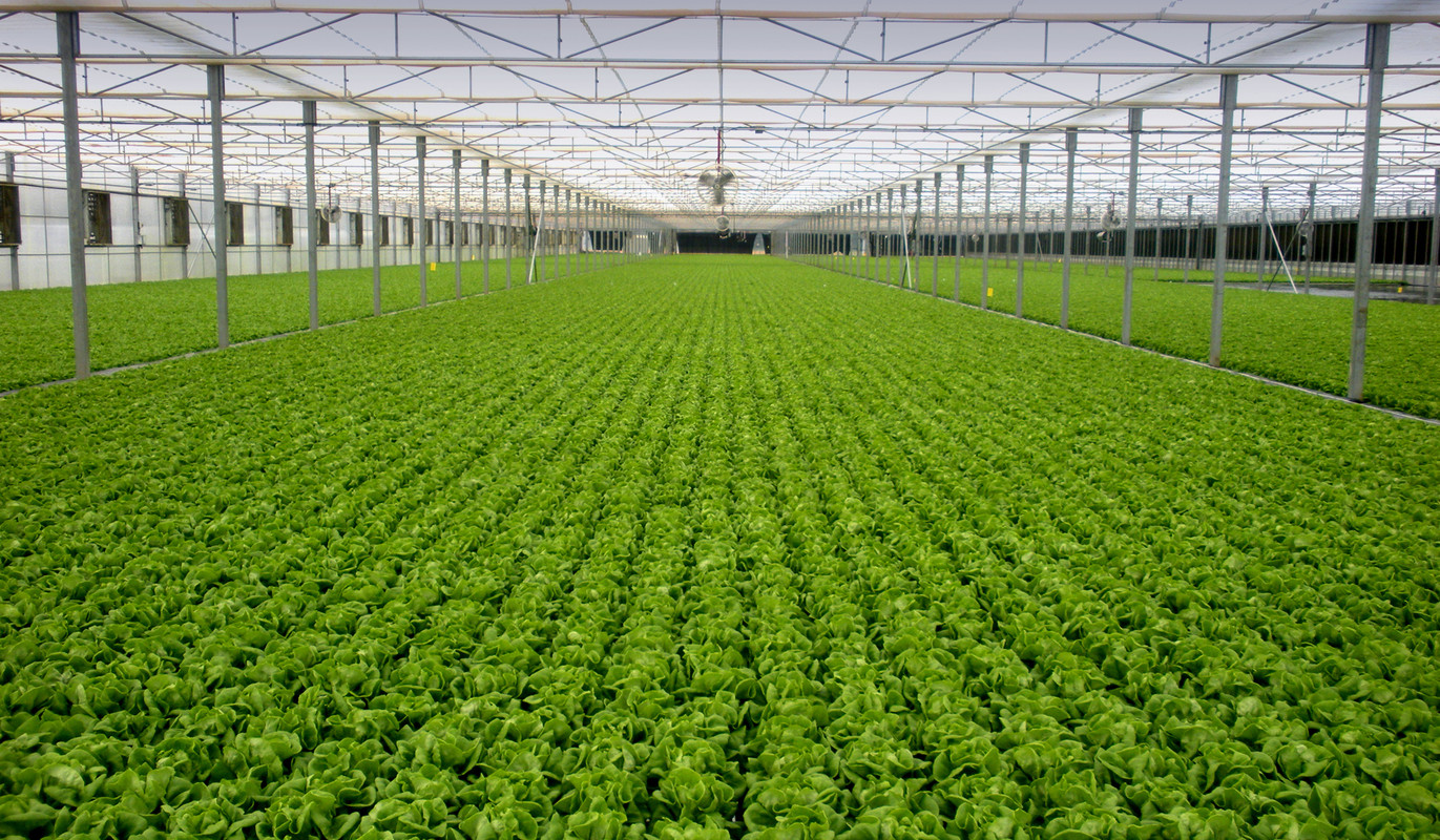 Оставить заявку на Группа товаров для теплиц, Пленки для теплиц