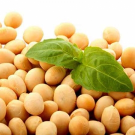 Оставить заявку на Soybeans