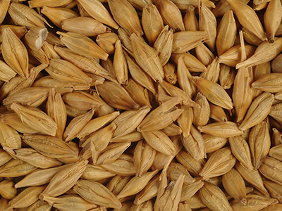 Оставить заявку на Arpa